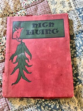 Vintage Red Illustrated Book with Green Artwork 1907 cookbook